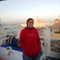 Lobna ElKafafi