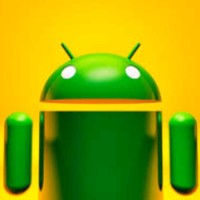 App Developer