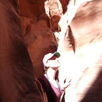 Manderley Wolterinck