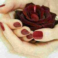 Sana Sadat