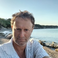 Roy Chicky Arad