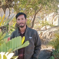 Amit Parmar