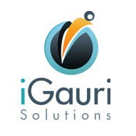 Hr Igauri Solutions