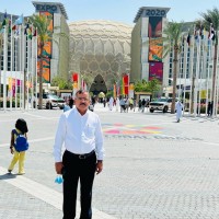 Rohitash Jangid