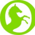 STALLION ENTERPRISE