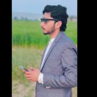 Ali Hamza