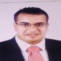 Aly Kadry Aly Ibrahim