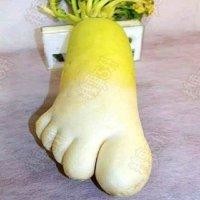 张青龙