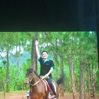 刘福振
