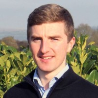 David Walsh