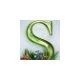 Shruthi M