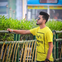 Debashish Sarkar