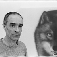Rob Regeer