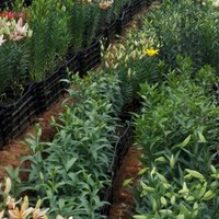 徐龙峰