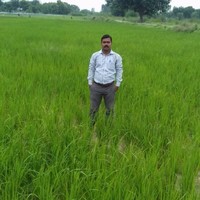 Sunil Kumar Sharma