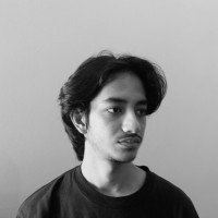 Ali Zulfikar