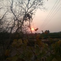 Ch Sunitha
