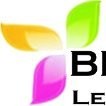 BRIGHT FUTURE GROUPS GROUPS