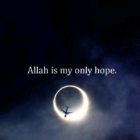 MUHAMMAD YASIR