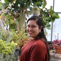 Daisy Rosas Vargas, Ph.D