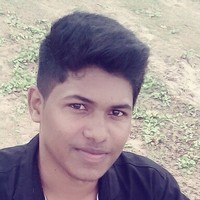 Dino Roy