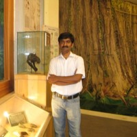 Bommegowda Paduvalapattana