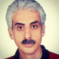 Navid Neshat