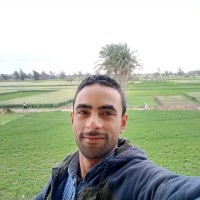 Mohamed Habash