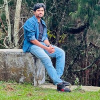 Ramesh P