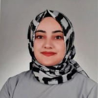 Ülkü Nisa Çelik