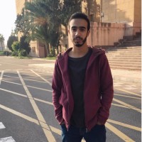 Hassan Elsharkawy