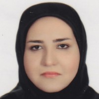 Elaheh Rezasoltani