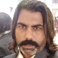 Shariq Allison