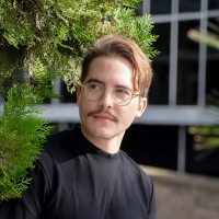 Stefano Pittore