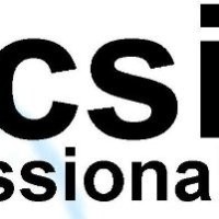 CSI Professionals Inc