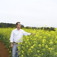 Sebastiao Hollandini