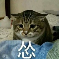 柳雨晴