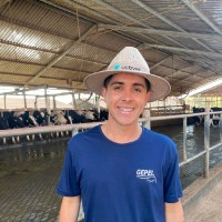 Pedro Gaio