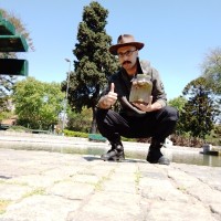 Fernando Valdez