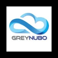 Sheela Pawar GreyNubo