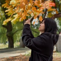 Ada Hsu