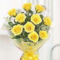 Vijay R.