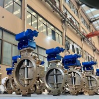 Valve Christina Valve