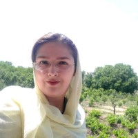 Azadeh Gholizadeh