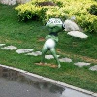 张晓野