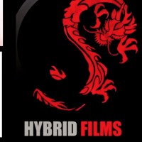 Hybrid Films