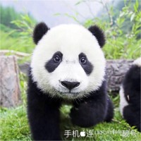 连科兵