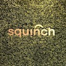 Squinch Architects