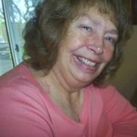 Wilma P.