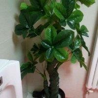 花有重
